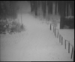 Nástup na běžecké tratě