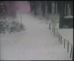 Nástup na běžecké tratě