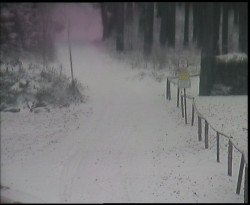 Nástup na běžecké tratě