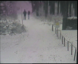 Nástup na běžecké tratě