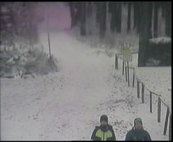 Nástup na běžecké tratě