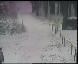 Nástup na běžecké tratě