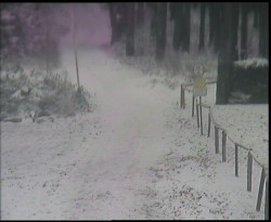 Nástup na běžecké tratě