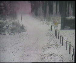 Nástup na běžecké tratě