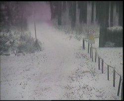 Nástup na běžecké tratě