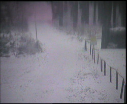 Nástup na běžecké tratě