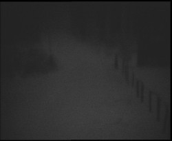 Nástup na běžecké tratě