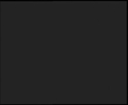 Nástup na běžecké tratě