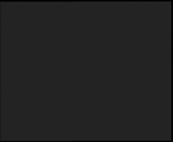 Nástup na běžecké tratě