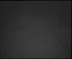 Nástup na běžecké tratě