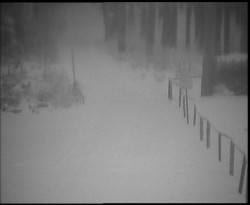 Nástup na běžecké tratě