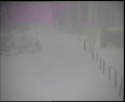 Nástup na běžecké tratě