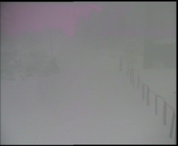 Nástup na běžecké tratě