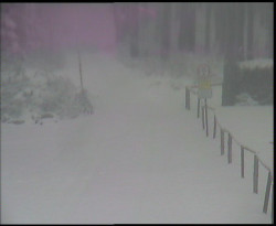 Nástup na běžecké tratě