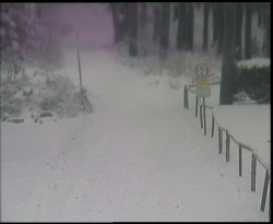 Nástup na běžecké tratě