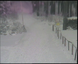 Nástup na běžecké tratě