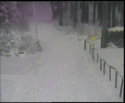 Nástup na běžecké tratě