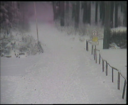 Nástup na běžecké tratě