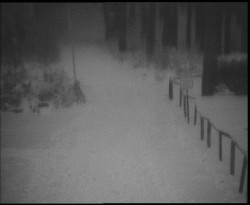 Nástup na běžecké tratě