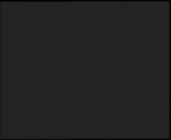 Nástup na běžecké tratě