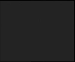 Nástup na běžecké tratě