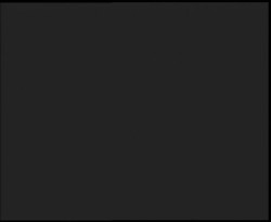 Nástup na běžecké tratě