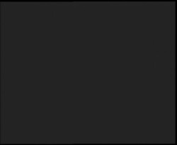 Nástup na běžecké tratě