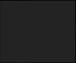 Nástup na běžecké tratě