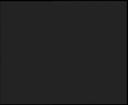 Nástup na běžecké tratě