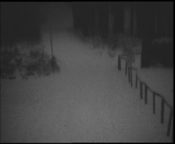 Nástup na běžecké tratě