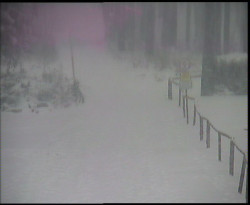 Nástup na běžecké tratě