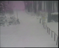 Nástup na běžecké tratě