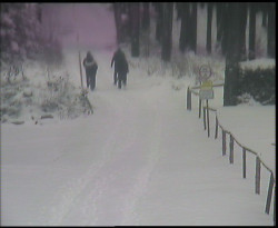 Nástup na běžecké tratě