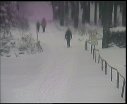 Nástup na běžecké tratě