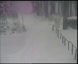 Nástup na běžecké tratě