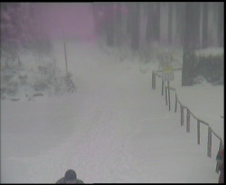 Nástup na běžecké tratě