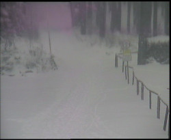 Nástup na běžecké tratě