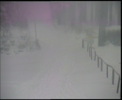 Nástup na běžecké tratě