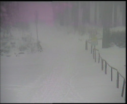 Nástup na běžecké tratě