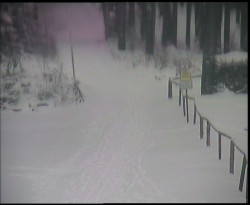 Nástup na běžecké tratě