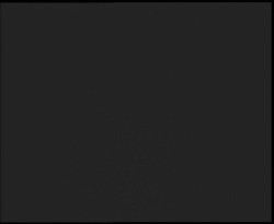 Nástup na běžecké tratě