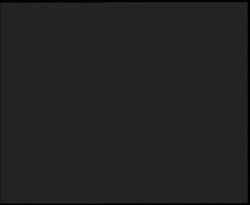 Nástup na běžecké tratě