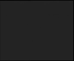 Nástup na běžecké tratě