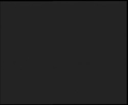 Nástup na běžecké tratě