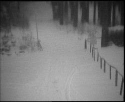 Nástup na běžecké tratě