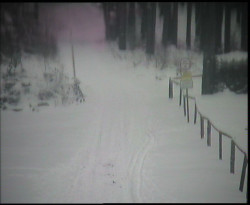 Nástup na běžecké tratě