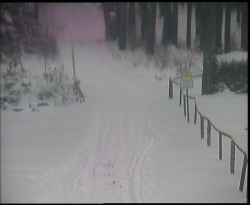 Nástup na běžecké tratě