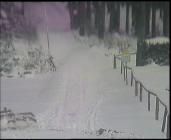 Nástup na běžecké tratě