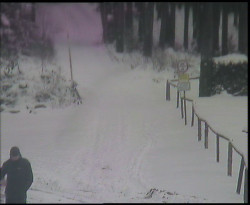 Nástup na běžecké tratě