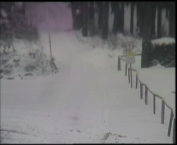 Nástup na běžecké tratě